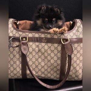 Rare Gucci Monogram GG Pet dog cat tote travel Carrier